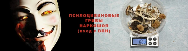 твердый Аркадак