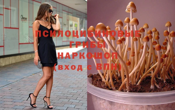 марихуана Болохово