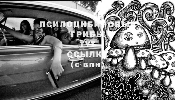 СК Армянск